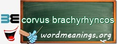 WordMeaning blackboard for corvus brachyrhyncos